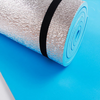 6mm EVA Exercise Fitness Non-Slip Blue Yoga Mat